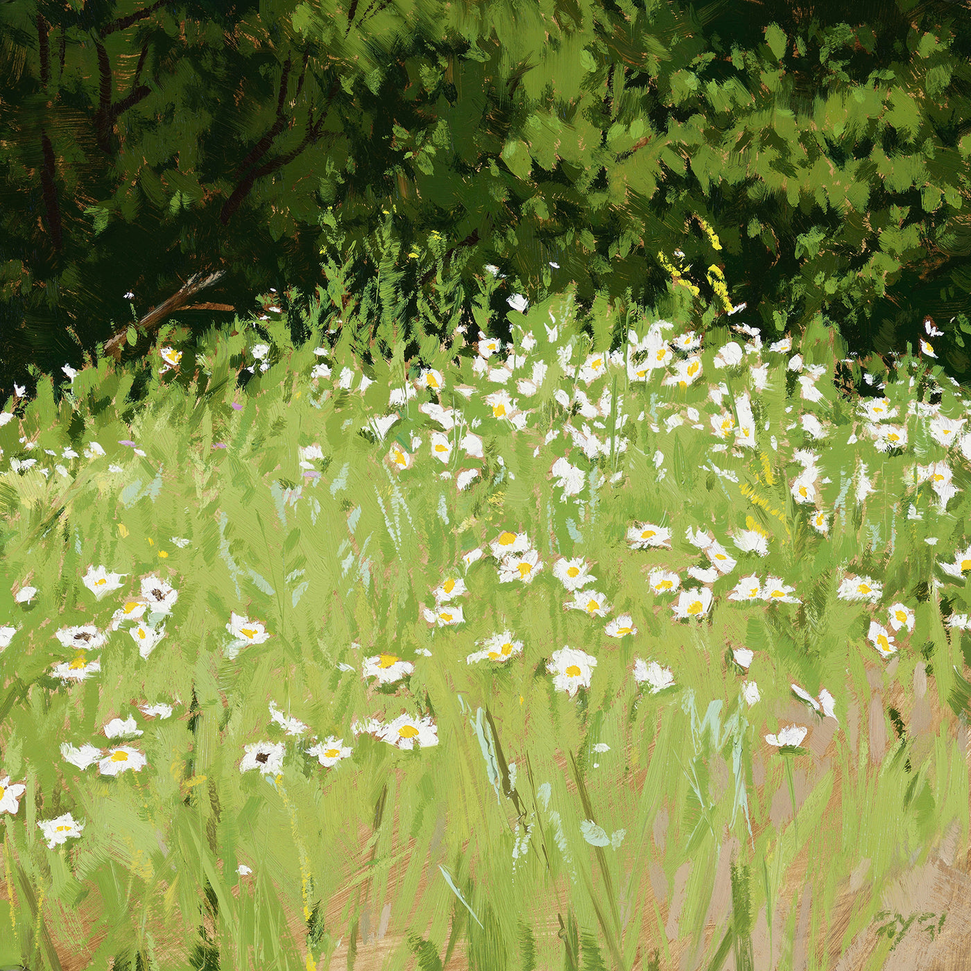 Daisy Field on Canvas Artwork Wall Decor