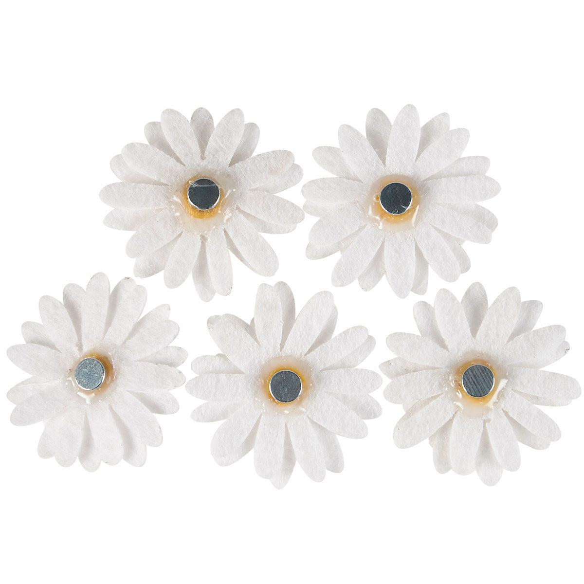 Set of 5 Daisy Magnets