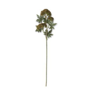 28" Dark Green Sedum Stem