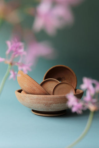 planter saucer set Bergs Potter The Ada Raw Rosa Planter and Saucer Set – Cotton & Crete