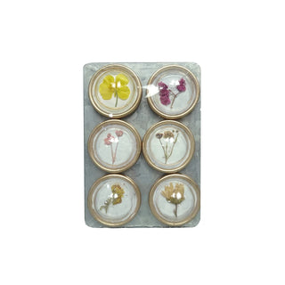 Set of 6 Botanical Magnets - More Coming Soon