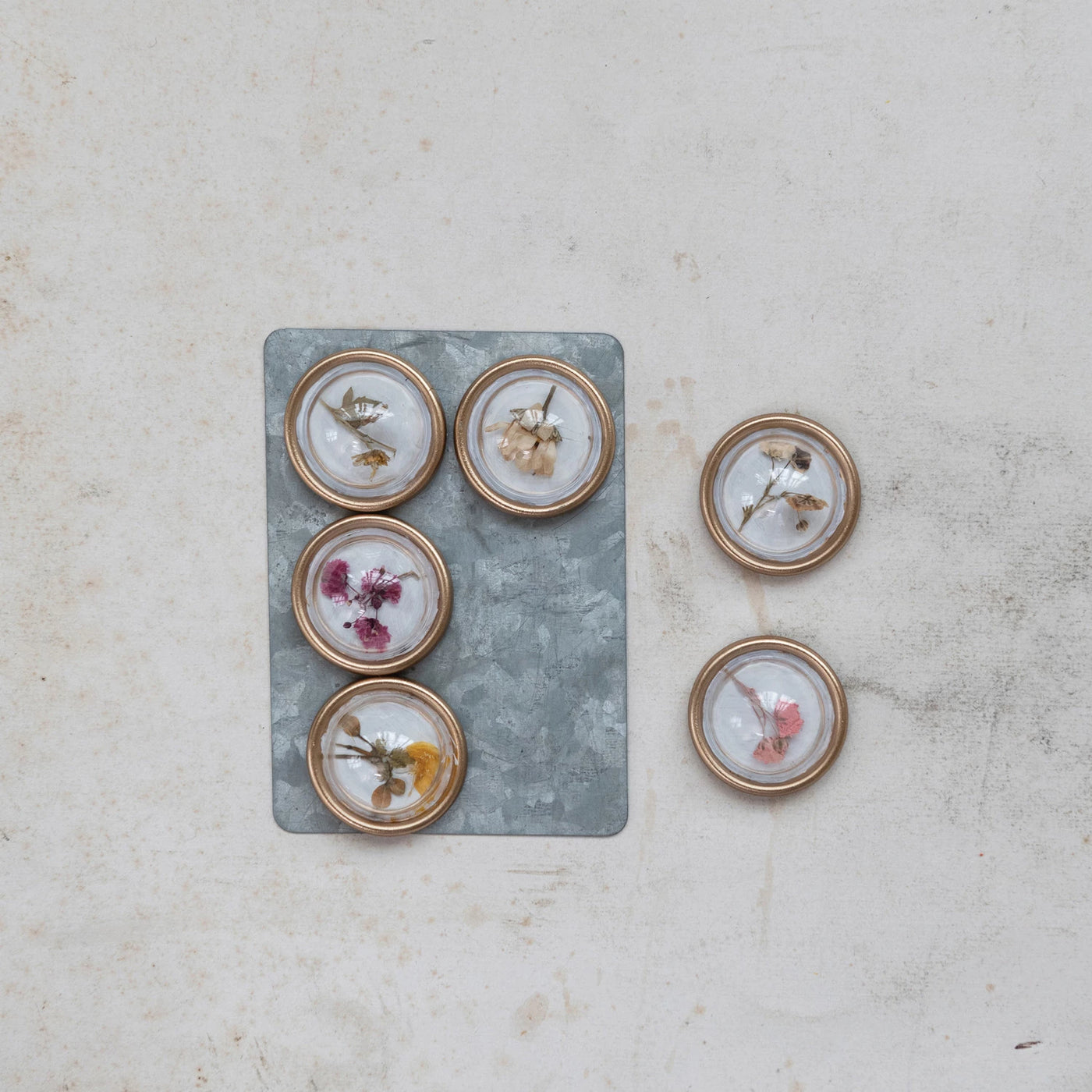 Set of 6 Botanical Magnets