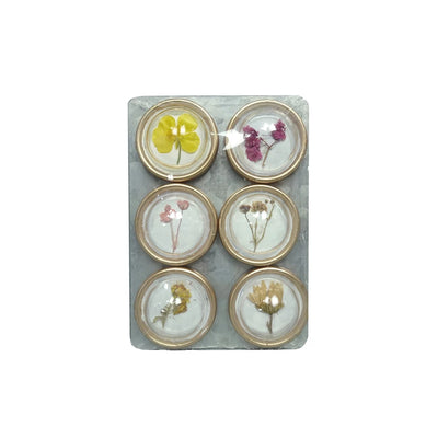 Set of 6 Botanical Magnets