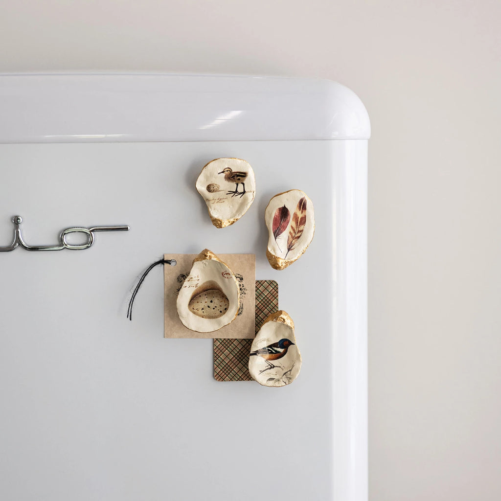 Set of 4 Shell Magnets with Vintage Style Image – Cotton & Crete
