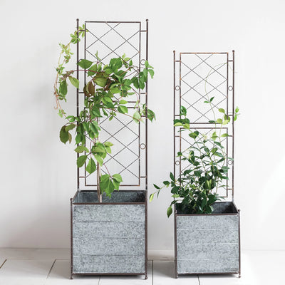 Set of 2 Trellis Metal Planters