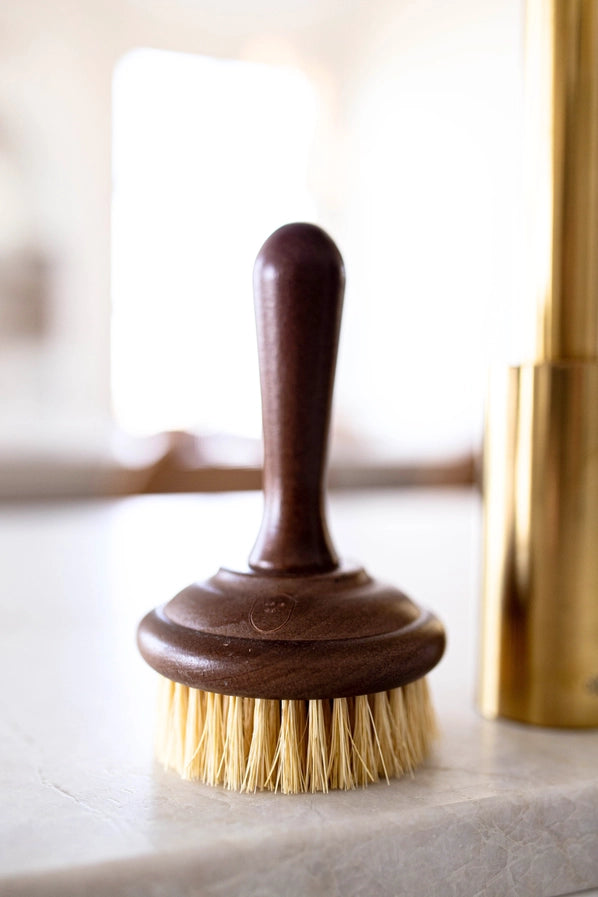 Dish Scrub Brush