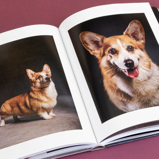 Year of the Dogs Book