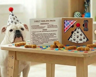 Dog Birthday Kit