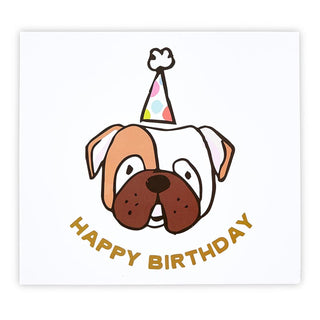 Dog Birthday Kit