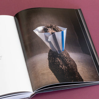 Year of the Dogs Book