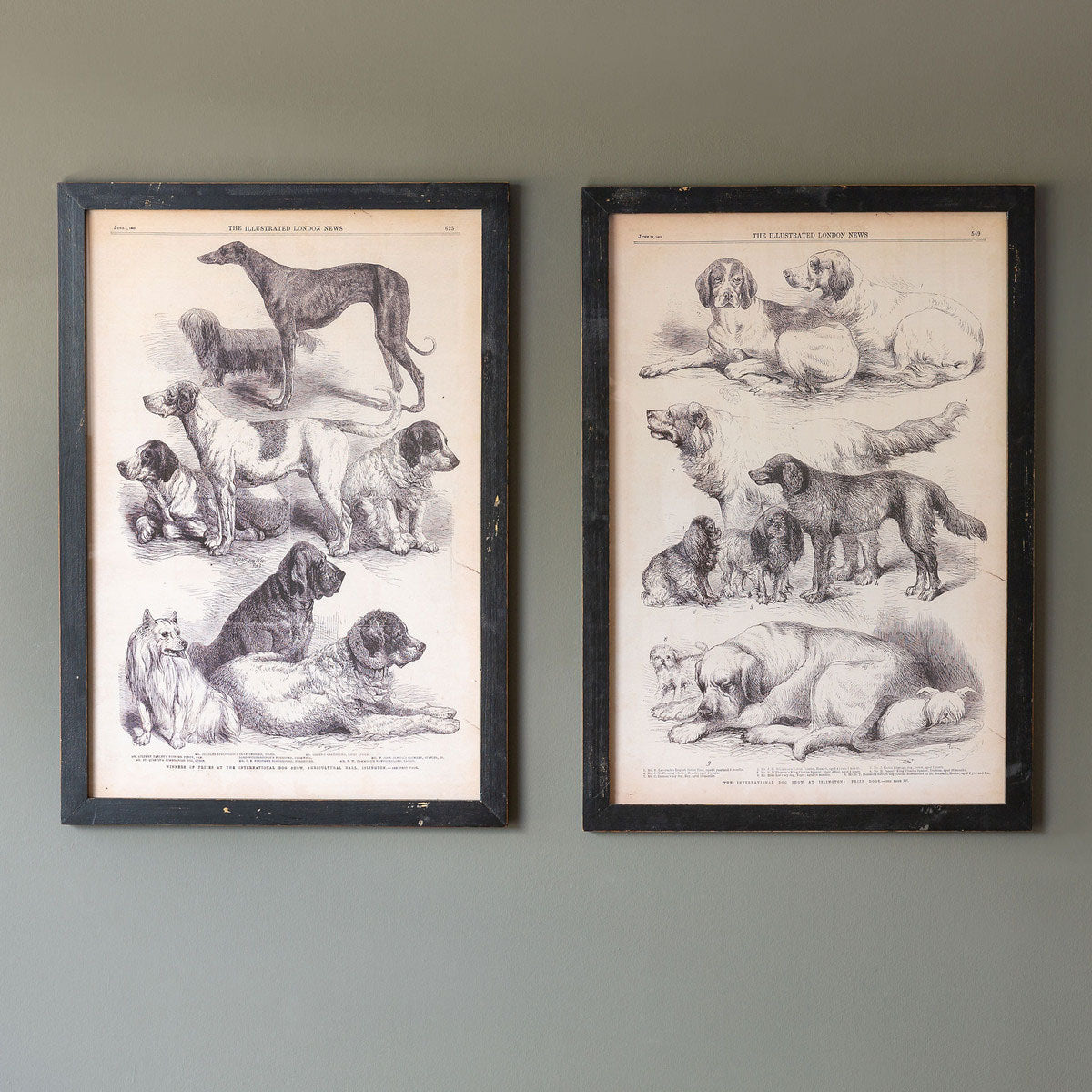Set of 2 Sepia Canine Prints