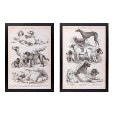 Set of 2 Sepia Canine Prints
