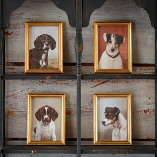 Petite Chien Prints - Set of 4