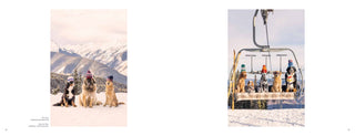 Gray Malin Dogs Book