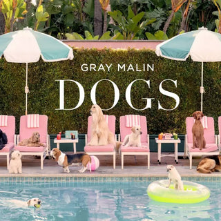 Gray Malin Dogs Book