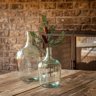 20.5" Douglas Fir Stem