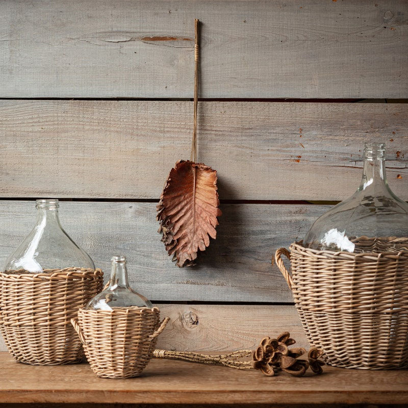 Dried Wild Fern Leaf Bunch