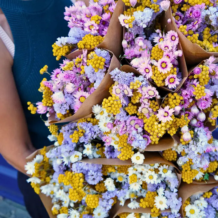 Dried Flower Market Bouquet - Dutch Mix