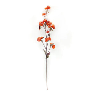 37" Dried Pumpkin Stem