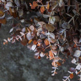 Dusk Eucalyptus Wreath by Abigal Ahern