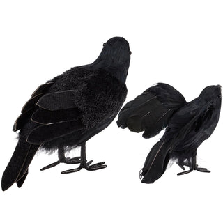 Black Crow Sitter Set