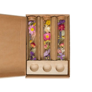 Dried Flowers in Giftbox with Glass Tubes