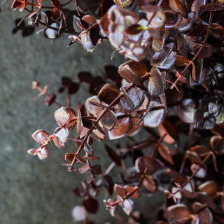 Russett Eucalyptus Wreath by Abigal Ahern
