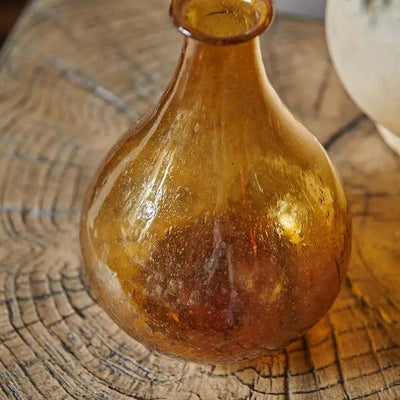 The Amber Elenora Vase