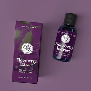 Elderberry Extract Essential Oil