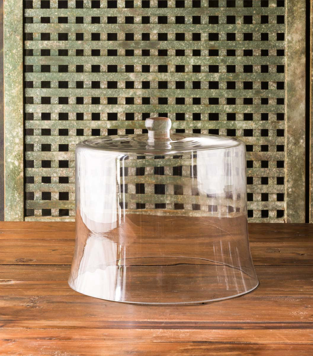 Large Estate Cake Cloche – Cotton & Crete