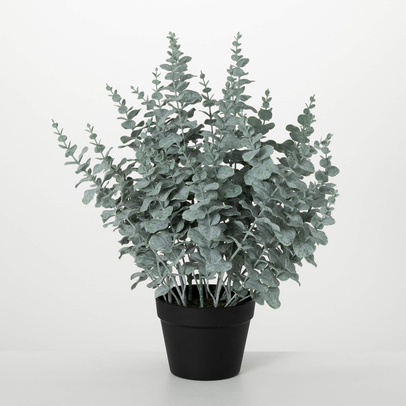 The 24" Potted Eucalyptus Plant