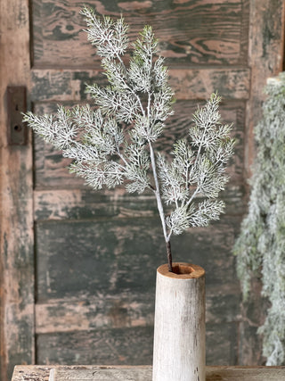 35" Fairisle Cedar Spray