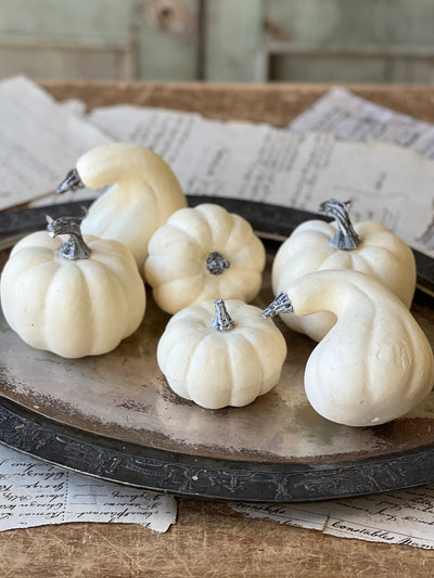 Set of 6 Falls Folly White Pumpkins and Gourds