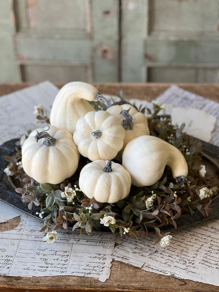 Set of 6 Falls Folly White Pumpkins and Gourds