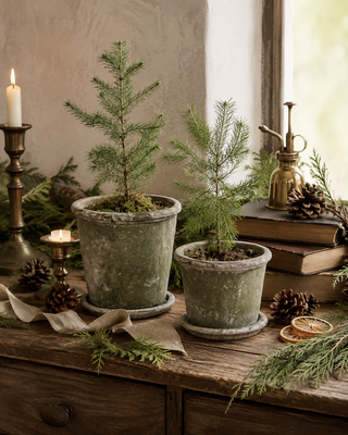 Pewsey Planter - Choose Size