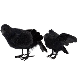 Black Crow Sitter Set