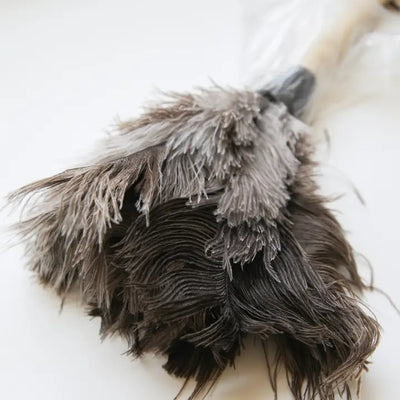 Natural Ostrich Feather Duster