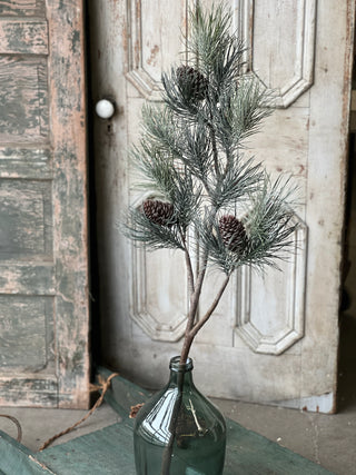 48" Frosted Emperor Pine Branch