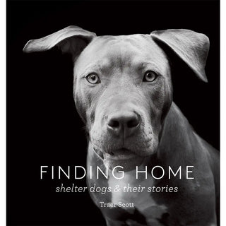 Finding Home Book - Shelter Dogs and Their Stories
