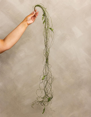 51" Fine Moss Vine