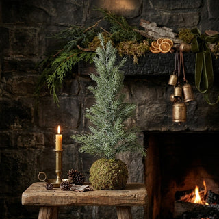15.75" Frosted Faux Fir Tree with Moss Ball Base