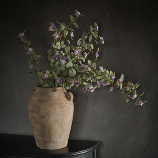 41" Mixed Purple Fittonia Stem