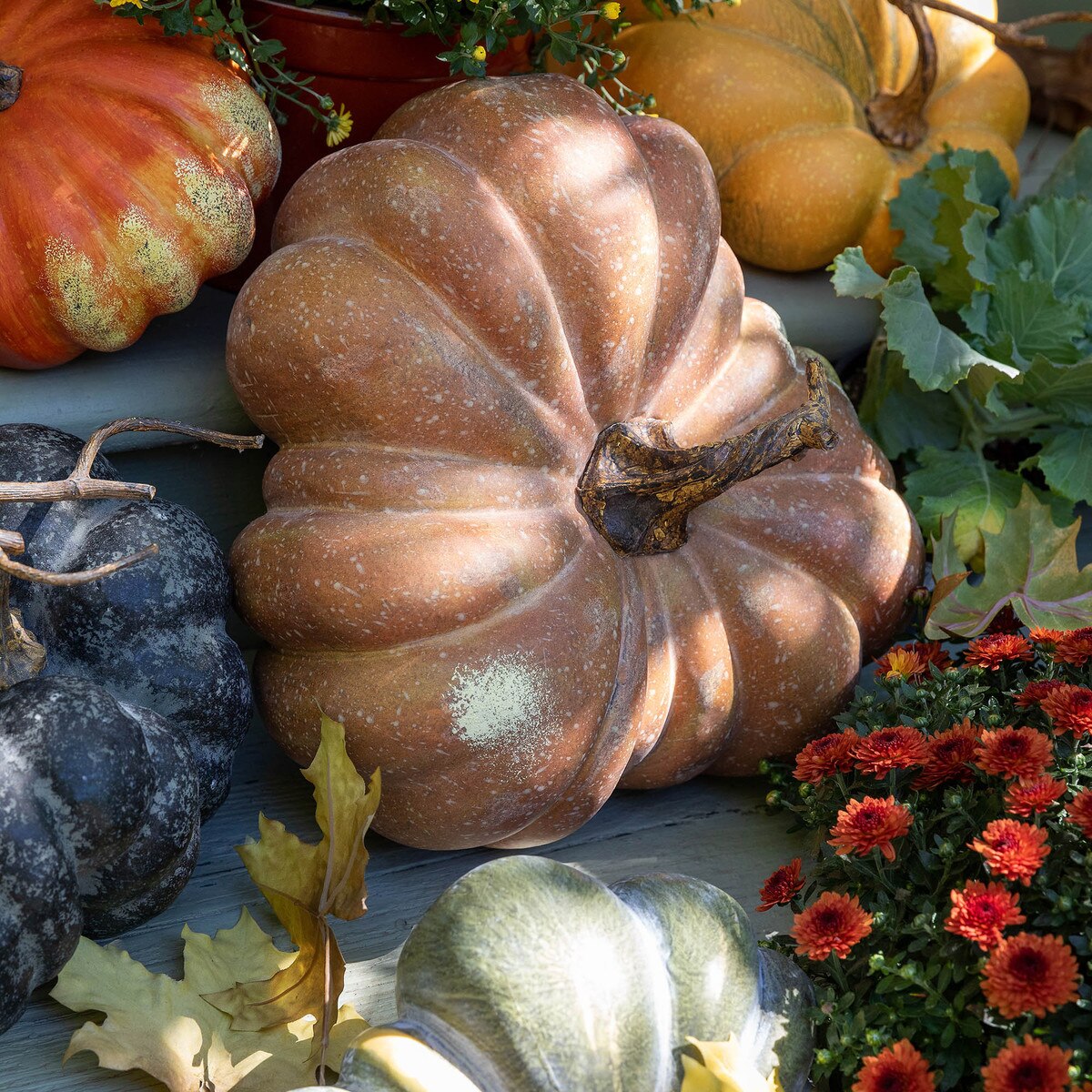 Flat Bottom Boy Pumpkin