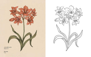 Floriography Coloring Book
