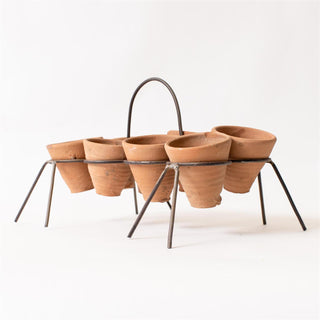 Rustic Stand With 8 Mini Off-Kilter Terracotta Pots