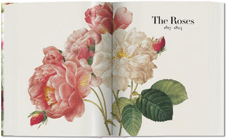 Redouté The Book of Flowers