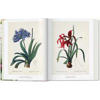 Redouté The Book of Flowers