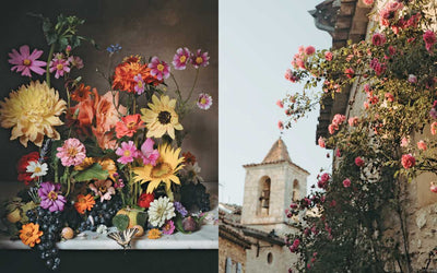 Flowers of Provence Book