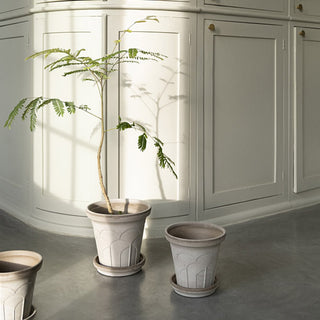 Bergs Potters Fleur Raw Planter and Saucer - Choose Size