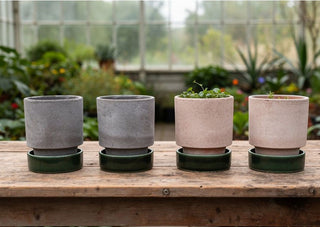 Bergs Potters Hoff Raw and Glazed Planter with Emerald Green Base 2 Pot Set - Choose Color